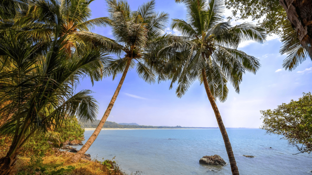 Hollant Beach, Goa