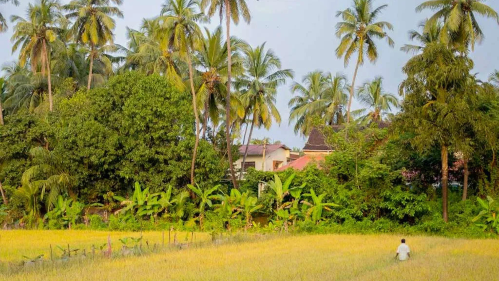 The simple life in a typical Goan village. Source: makeithappen.co.in