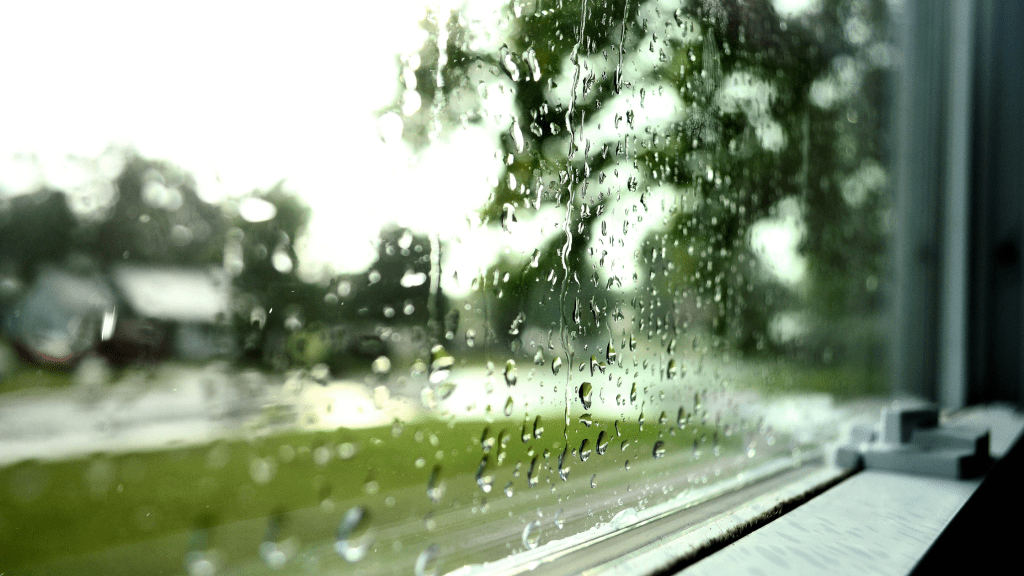Discover monsoon-ready interior tips for healthy living in Goa. From mould-resistant paints to HEPA purifiers and humidity-control plants, learn smart ways to protect your home when you buy property in Goa or explore apartments for sale in Goa.