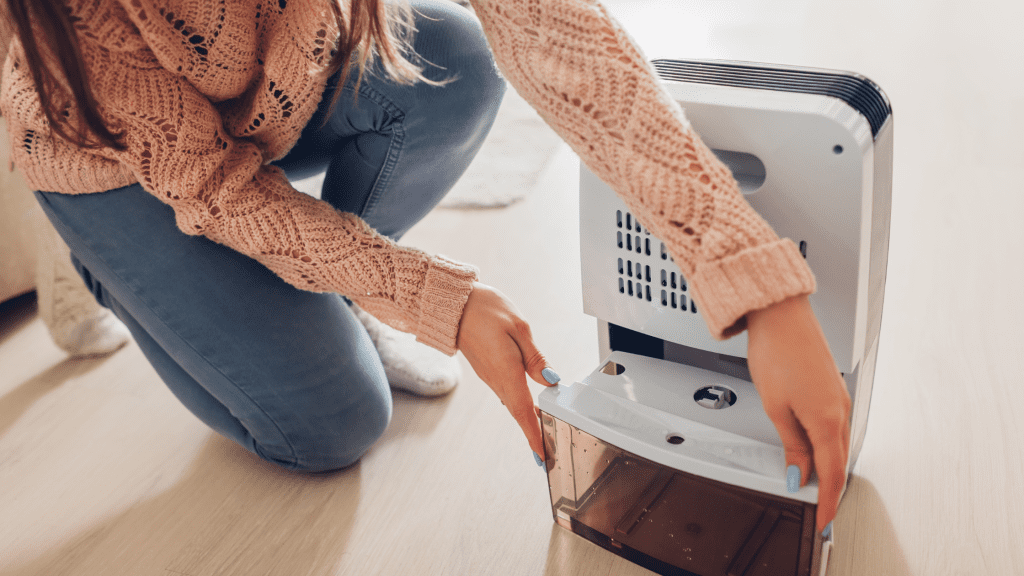 Installing portable or whole‑home HEPA air purifiers is an effective solution. Source: Canva